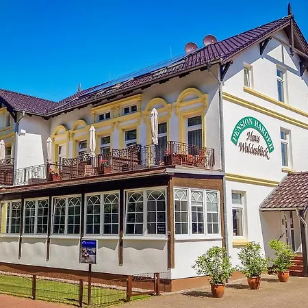 Pensionat Haus Waldesblick *